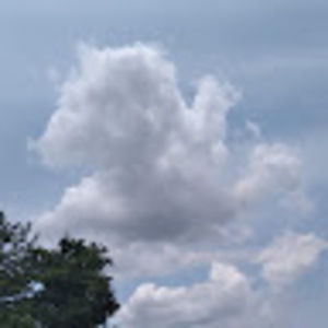 Meet your Posher, Killua